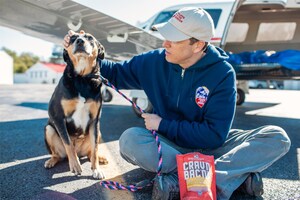 Stella &amp; Chewy's Partners with Pilots To The Rescue to Fly Senior Shelter Pets to New Homes