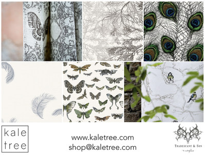 A nature inspired range of fabrics offered by Tradescant & Son, now available at www.kaletree.com.. Prints include an antique-inspired butterfly and lace fabric, a pattern of peacock feathers, a design of layered branches, a subtle feather fabric, scientific illustrations of moths, and Cyanistes birds perched in a tree. The fabrics are made of either 100% linen, or a linen-cotton blend, with eco-conscious production practices. Photos courtesy of Tradescant and Son.