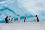 Pew: Efforts to Expand Southern Ocean Protections Stall at CCAMLR