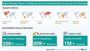 BizVibe Highlights Key Challenges Facing the Automotive Parts, Accessories, and Tire Stores Industry | Monitor Business Risk and View Company Insights
