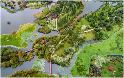 Foto mostra a vista do pântano da península de Baofeng em Kunming, província de Yunnan, no sudoeste da China. (PRNewsfoto/Xinhua Silk Road)