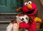 Sesame Street's 52nd Season Launches On Thursday, November 11 On Cartoonito On HBO Max