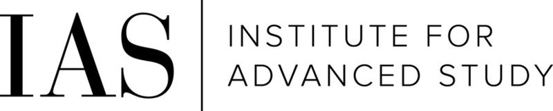 David Nirenberg Named 10th Director of the Institute for Advanced Study - Vimarsana News