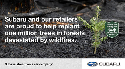 Subaru and our retailers are proud to help replant one million trees in forests devastated by wildfires.