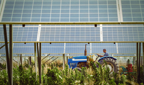 Licensed for use by The Rockefeller Foundation