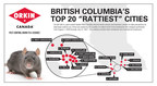 Vancouver Tops as Rattiest City Fifth Year in a Row
