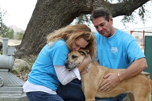 PetSmart Charities® Hosts National Adoption Week Events During November's Adopt a Senior Pet Month
