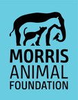 Morris Animal Foundation Launches Campaign to Solve Animal Health Puzzles
