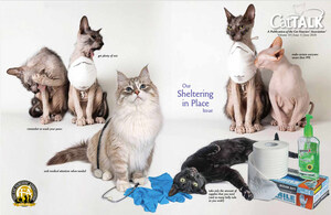 CFA's "Cat Talk" Magazine Earns Top Awards From The Cat Writers' Association