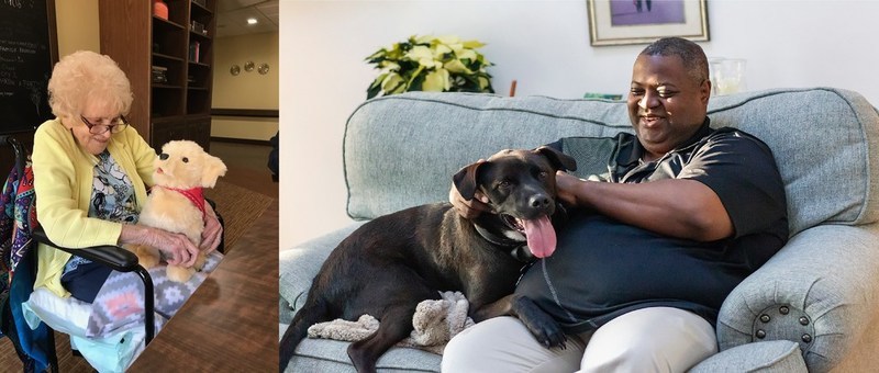 Ultimate Pet Nutrition™ Sponsorship of Pets for Vets® Supports a Robotic Pets Program for Veterans - Vimarsana News