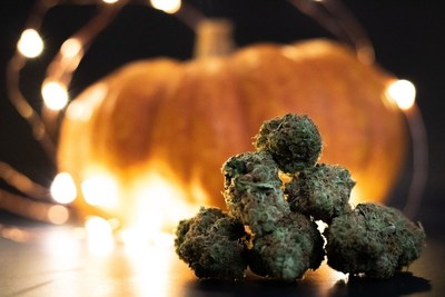 Cannabis in front of a pumpkin