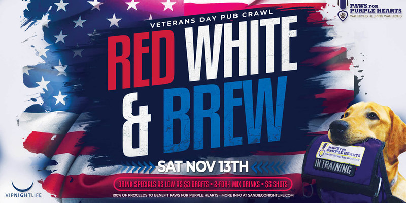 San Diego Pub Crawl Raises Money to Support Veterans and Active Military - Vimarsana News