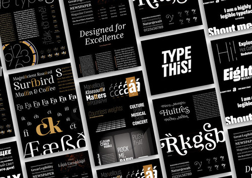 The new type foundry TypeThis!Studio by German designer Anita Jürgeleit offers a boutique variety of high-performing typefaces and fonts for commercial use.