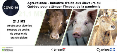 Dans le cadre de l'Initiative Canada-Qubec d'aide aux leveurs, la FADQ a vers plus de 21 M$  577 producteurs de porcs, de bovins et de grands gibiers pour les aider  couvrir les dpenses engages pour le maintien des animaux en surplus dans les levages pendant la COVID-19. (Groupe CNW/La Financire agricole du Qubec)