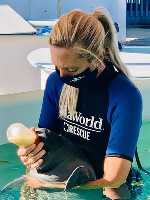 SeaWorld Rescue Animal Care Specialist bottle feeding orphaned manatee at the SeaWorld Manatee Rehabilitation Center.
