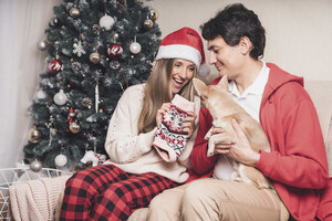 Festive Holiday Gifts for Pets