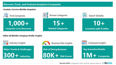 Snapshot of BizVibe's analytics company profiles and categories.