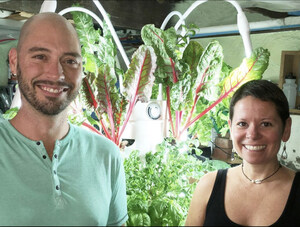 Jardin Vertical's Underground Farm Chooses Revolution's Avici Programmable Spectrum LEDs