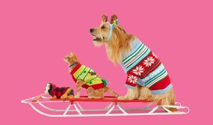 Petco Helps Pet Parents Include Pets and Make Lasting Memories Throughout the Holiday Season