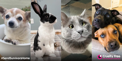 Lil Hobbs, Oreo, Belarus and Ginny & Minnie popularize the CARE Act among their fan base of nearly 1 million people.