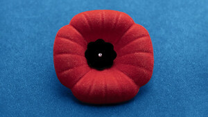 Voices Supports Royal Canadian Legion's Poppy Fund in Acknowledgement of Remembrance Day