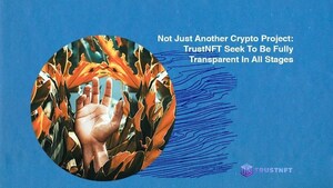 Not Just Another Crypto Project: TrustNFT Seeks to be Fully Transparent in All Stages