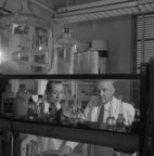 Government of Canada commemorates the discovery of insulin on 100th anniversary of this life-saving medical breakthrough