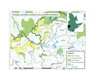 Paysages paludifiés soustraits des possibilités forestières (Groupe CNW/Cabinet du ministre des Forêts, de la Faune et des Parcs)