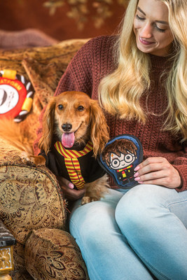 The Harry Potter Plush Toy from the Harry Potter collection at PetSmart will charm dogs and captivate them for hours.
