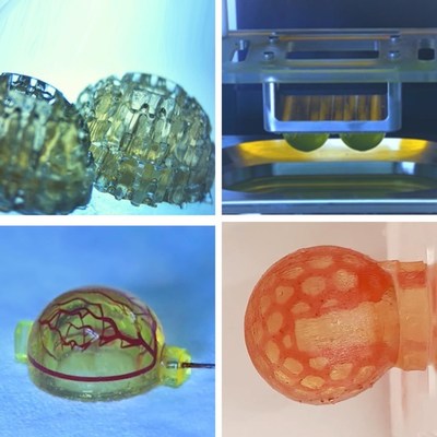 Soft tissue bioprinted constructs using Collink.3D, demonstrating high resolution and elastic properties.