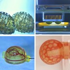 CollPlant Announces Commercial Launch of BioInk Platform with Collink.3D™  for Use in 3D Bioprinting of Human Tissues, Scaffolds and Organs