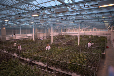 Occo's best-in-class research, genetics and breeding facility in Comox, British Columbia. (CNW Group/Aurora Cannabis Inc.)