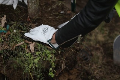 Volunteers assist Bulleit Frontier Whiskey, American Forests, and TreesLouisville for a tree planting event in downtown Louisville on Friday, November 12.