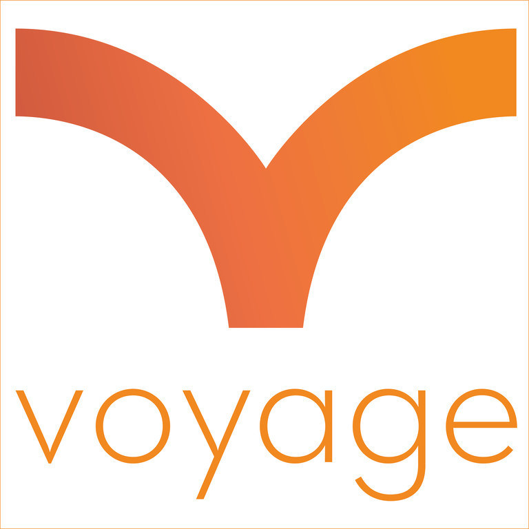 the voyage logo