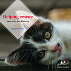 Kitchen Magic Sponsors Tabby's Place Cat Sanctuary, Vowing to...