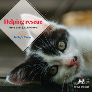 Kitchen Magic Sponsors Tabby's Place Cat Sanctuary, Vowing to Rescue Kitchens and Kittens