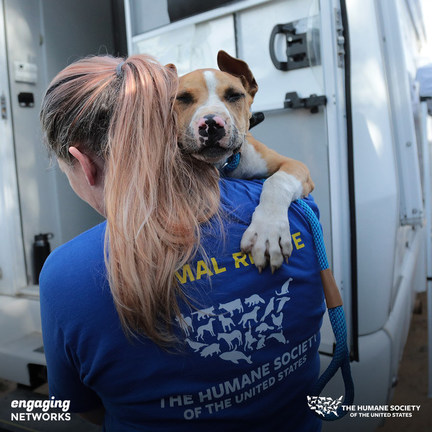 The Humane Society Of The United States Chooses Engaging Networks as Fundraising and Advocacy Partner - Vimarsana News