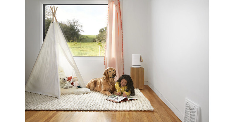 Le Leader De La Purification De L Air Molekule Se Lance En Europe Pour Offrir Un Air Interieur Pur A Tous Partout