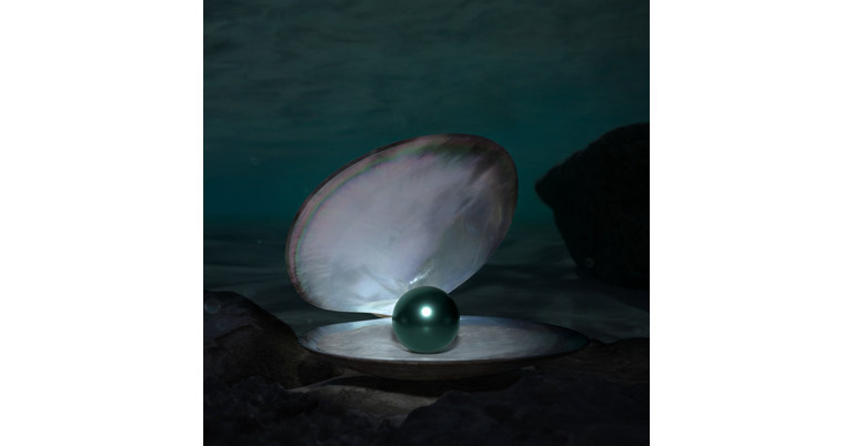 Tieks launches limited-edition Tahitian Pearl flats for Black Friday