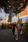 Actor Erika Christensen Welcomes Giant Christmas Tree and the Return of the Holidays to Hollywood