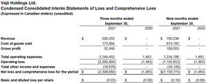 Vejii Holdings Ltd. Announces Q3 2021 Financial Results and Provides Q4 Guidance