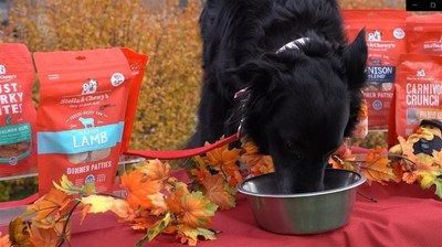 Stella & Chewy’s is celebrating Giving Tuesday this holiday season by donating 3.4 million meals to shelter pets across the country by the end of 2021.