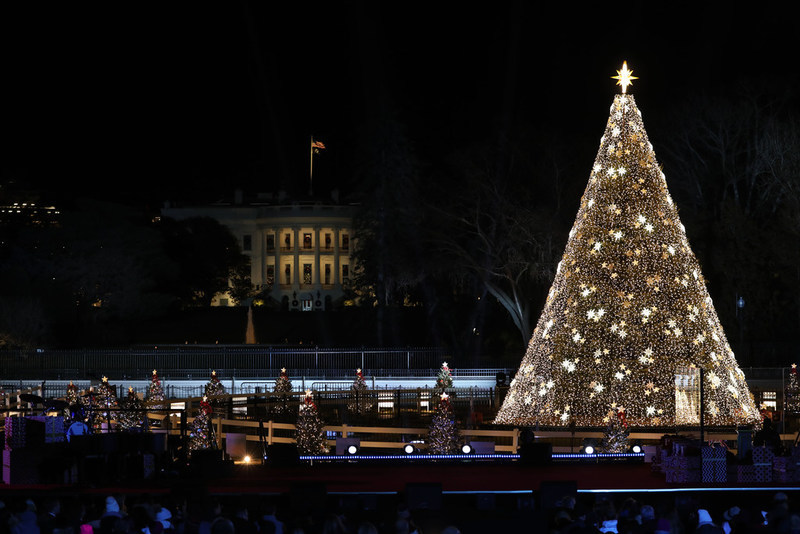 See York Christmas tree cut, moved and set on Continental Square