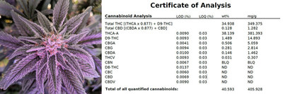 Certificate of analysis for 41% Purecanntm strain. (CNW Group/CannabCo Pharmaceutical Corp.)