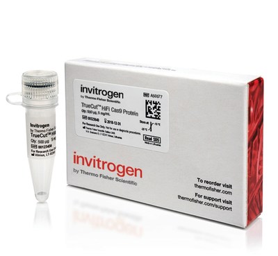 For research applications requiring highly precise genome editing, including engineering CAR T cells and creating cellular models for disease discovery, the Invitrogen TrueCut HiFi Cas9 Protein significantly minimizes off-target events while retaining maximum on-target editing efficiency.