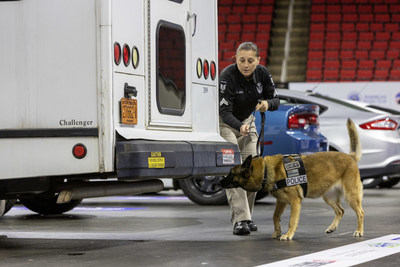 A participant in the AKC/USPCA K9 Detection Dog Challenge