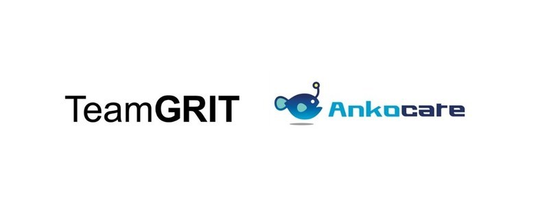 TeamGRIT targets Japan's robotics market through global partnership - Vimarsana News