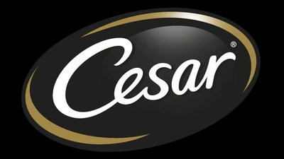 Cesar brand dog clearance food