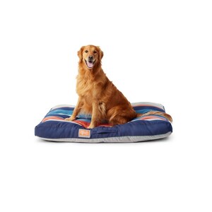 Smartwool turns more than 90K used socks into sustainable dog beds