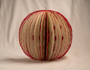 Sakal Publications Presents Kathakraang: A Poetic Fusion Of Dance And Book-Making